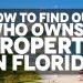 How to find out who owns a property in Florida